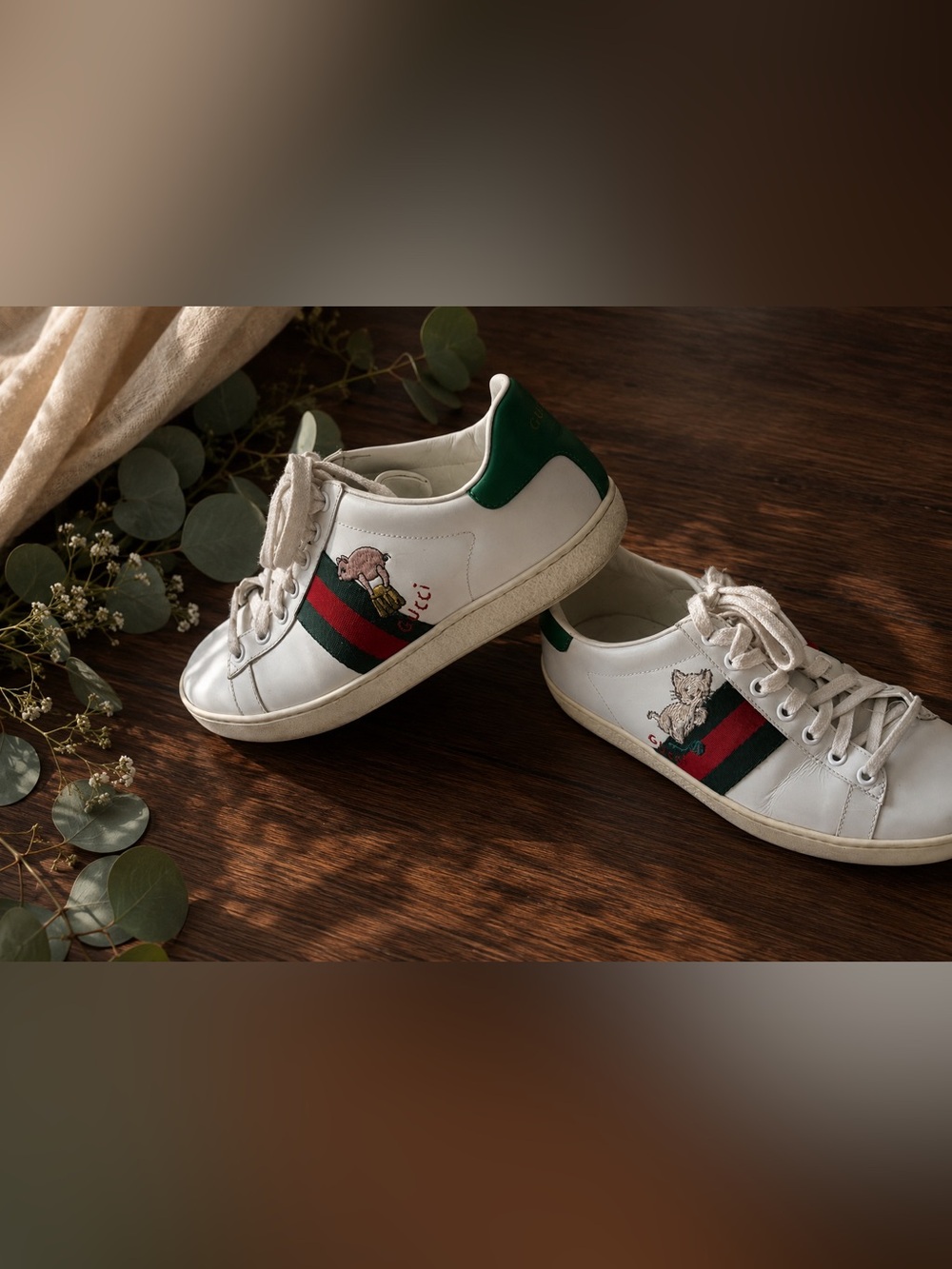 Authentic Gucci Ace Kitten Sneakers in good condition-size 38